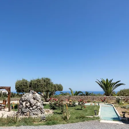 Alpha Estate & *